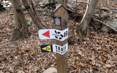 News From The Trails #19-2022